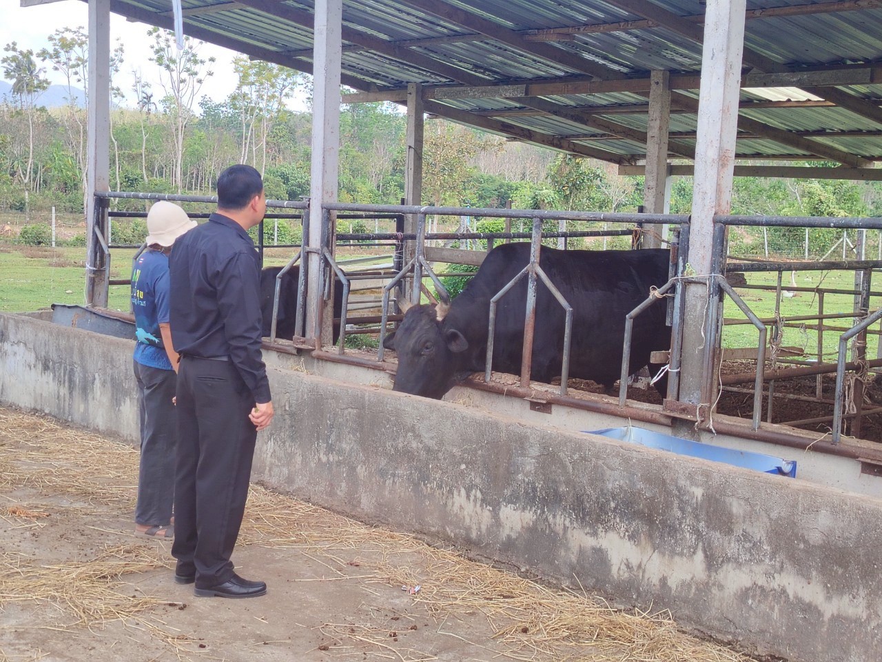 title - ส.ป.ก.ตรัง จัดฝึกอบรมเชิงปฏิบัติการเพื่อพัฒนาศักยภาพเกษตรกร  ภายใต้โครงการพัฒนาเกษตรกรรมยั่งยืน กิจกรรมพัฒนาเกษตรกรรมยั่งยืนในเขตปฏิรูปที่ดินจังหวัดตรัง ปีงบประมาณ พ.ศ. ๒๕๖๙